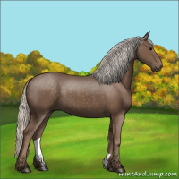 Horse Color:Silver Black 