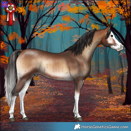 Horse Color:Brown Onyx Splash Rabicano Brindle 