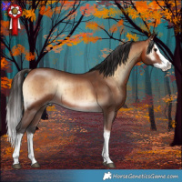 Horse Color:Brown Onyx Splash Rabicano Brindle 