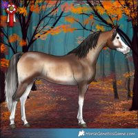 Horse Color:Brown Onyx Splash Rabicano Brindle 