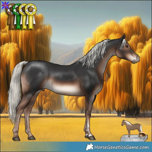 Horse Color:Liver Chestnut Mushroom 
