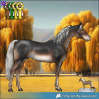 Horse Color:Liver Chestnut Mushroom 