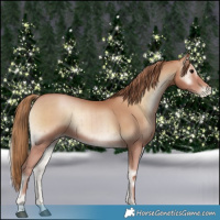 Horse Color:Blue Onyx Pearl Brindle 
