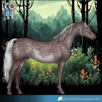 Horse Color:Chocolate Silver Black Chinchilla 