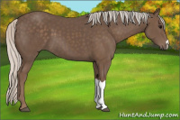 Horse Color:Silver Black 