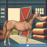 Horse Color:Gold Champagne 