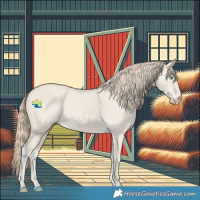 Horse Color:Smoky Creme Dun 