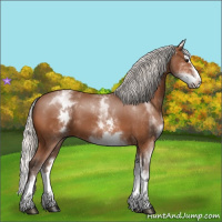 Horse Color:White Spotted Silver Bay Splash 