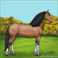 Horse Color:Bay Roan Tobiano 