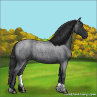 Horse Color:Blue Roan Tobiano