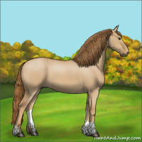 Horse Color:Red Dun Roan Tobiano 