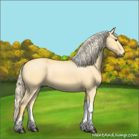 Horse Color:Palomino Roan Tobiano 