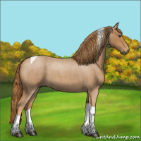 Horse Color:Red Roan Tobiano