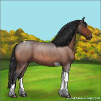 Horse Color:Bay Roan Tobiano 