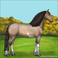 Horse Color:Buckskin Roan Tobiano 