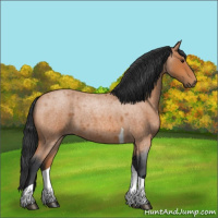Horse Color:Bay Roan Tobiano 