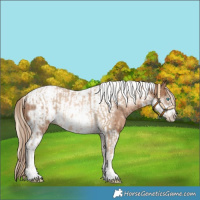 Horse Color:Chocolate Palomino Pearl Tobiano Frame  and Liver Chestnut Pearl Tobiano Frame 