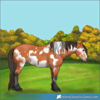 Horse Color:Bay  and Bay Frame 