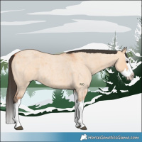 Horse Color:Bay Roan Dun Splash 