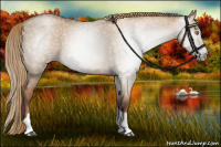 Horse Color:Gray Liver Red Dun Pearl Tobiano 