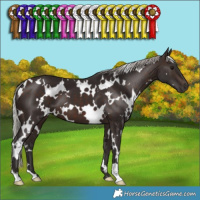 Horse Color:White Spotted Silver Brown 