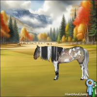 Horse Color:White Spotted Brown Dun 