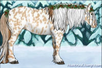 Horse Color:Red Dun Appaloosa  and Red Dun Appaloosa 
