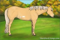Horse Color:Palomino Frame
