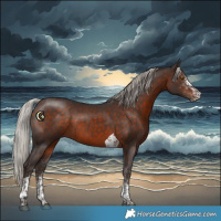 Horse Color:White Spotted Silver Brown Tobiano Rabicano