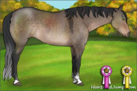 Horse Color:Brown Dun Sabino