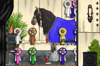 Horse Color:Smoky Grullo Rabicano 