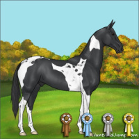 Horse Color:Black Tobiano 