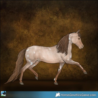 Horse Color:White Spotted Liver Red Roan Pearl 