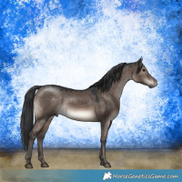 Horse Color:Brown Dun Mushroom 