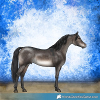 Horse Color:Brown Dun Mushroom
