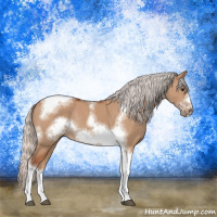 Horse Color:Silver Bay Dun Sabino Tobiano Frame Rabicano 