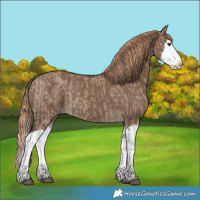 Horse Color:Liver Red Dun Splash  and Liver Red Dun Splash 