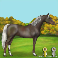 Horse Color:Liver Chestnut Mushroom 