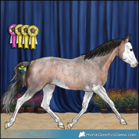 Horse Color:Bay Roan Splash Rabicano 
