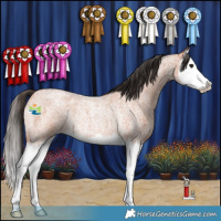 Horse Color:Bay Roan Splash Rabicano 