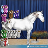 Horse Color:White Spotted Bay Splash