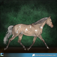 Horse Color:White Spotted Silver Brown Dun