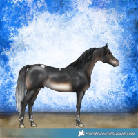 Horse Color:Brown Tobiano Rabicano