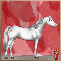 Horse Color:Gray Silver Smoky Black Splash Tobiano 