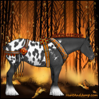 Horse Color:Black Near Leopard 