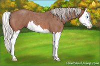 Horse Color:Silver Bay Roan Splash 
