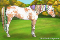 Horse Color:Painted Amber Cream Champagne Dun Sabino 