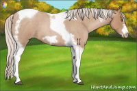 Horse Color:Silver Blue Roan Pearl Tobiano Frame 