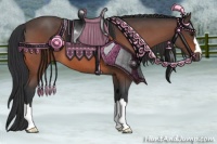 Horse Color:Bay Roan 