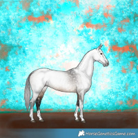 Horse Color:Gray Brown Dun Tobiano Rabicano 